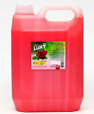 Мыло жидкое Luxy Parfumer Pink, 500мл