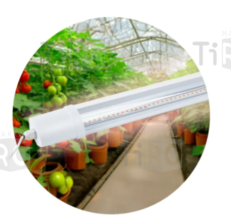Светильник для растений Эра FITO 24Вт полного спектра, 1400Лм/IP65/600мм
