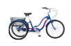 Велосипед Roliz 26-607 трёх-колёсный синий