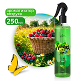 Освежитель воздуха Clean&Green Лето CG8128, 250мл. триггер