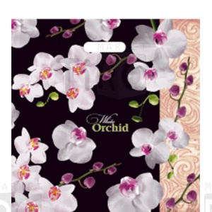 Пакет ПВД 44*44см (60мкм) прорублленая ручка, Белая орхидея (цена за 25 штук)