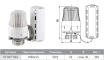 Головка термостатическая с выносным датчиком M30*1.5 RVT 663