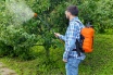 Опрыскиватель "Жук" 12,0л. аккумуляторный ранцевый Опрыскиватель "Жук" 12,0л. аккумуляторный ранцевый