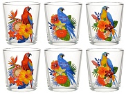 Набор стаканов 6шт. Тропические птицы
