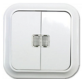 Выключатель "Пралеска" 2ОП, А510-2132 цвет серый, пылеструезащищенный, IP55