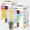 Лампа светодиодная Sweko 17LED-G45-4W-230-4000K-Е14-CL