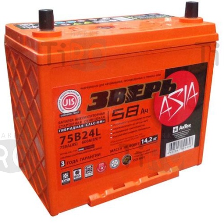 Аккумулятор Зверь Азия 75B24L 58 А/ч L 600А 238х129х225