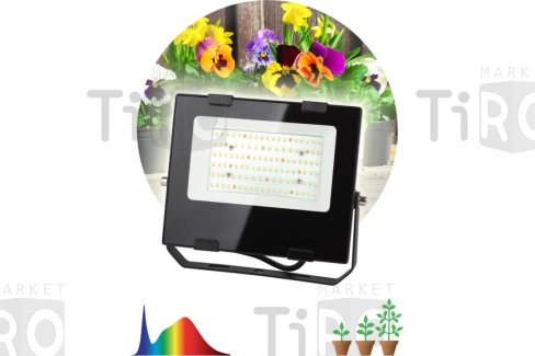 Прожектор для растений светодиодный ЭРА FITO 50Вт/Ra-90-LED