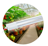 Светильник для растений Эра FITO 24Вт полного спектра, 1400Лм/IP65/600мм