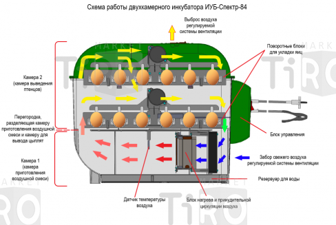 Инкубатор "Спектр-84-01" бытовой автоматический /220В/12В/