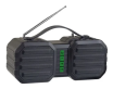 Колонка-Bluetooth Perfeo "Stand" FM, MP3 microSD, USB, Aux, мощность 10Вт, 2400mAh, черная/зеленая