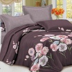 КПБ 2-ный "Felicita", Монпасье (1172) простынь 180*215см, пододеяльник 175*215см, наволочки 2 штуки, 70*70