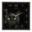 Часы настенные "Салют" П - 2А6 - 412 Черная кошка